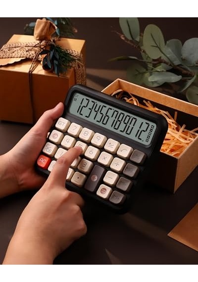 X-250 12 Haneli Hesap Makinesi Siyah Genel
