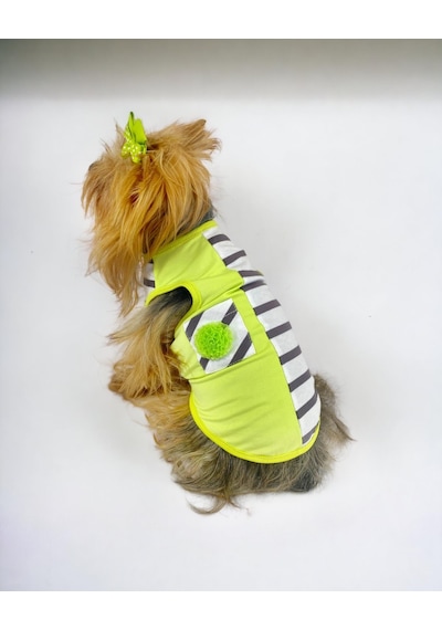 Lime Fuzz Atlet Köpek Kıyafeti Köpek Elbisesi
