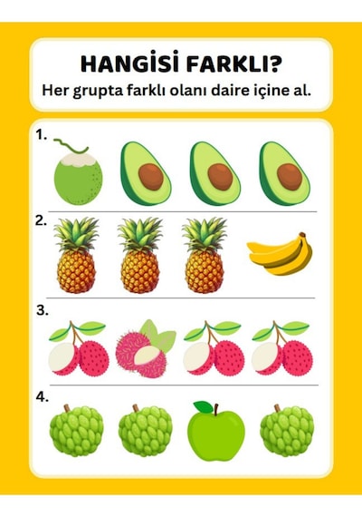 Okul Öncesi Farklı Olanı Bul Yaz-sil Kitabı
