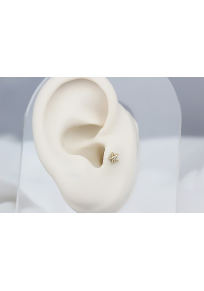 Glorria Altın Deniz Yıldızı Tragus Piercing Çok Renkli