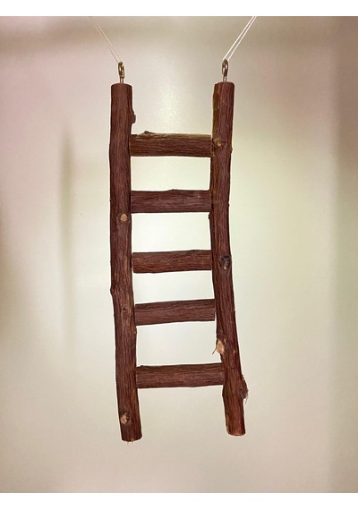Doğal Ahşap Kuş Merdiveni Kuş Oyuncağı