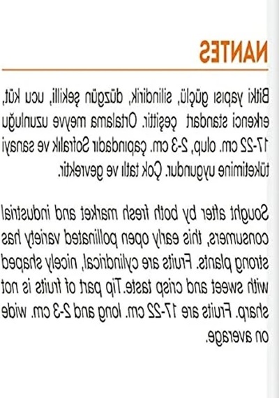 Yerli Havuç Tohumu, 1000 Adet Paket İle Tarıma Uygun
