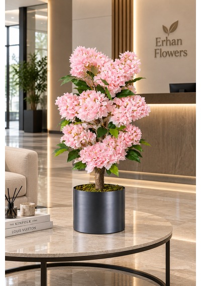 100 Cm Pembe Ortanca Ağacı