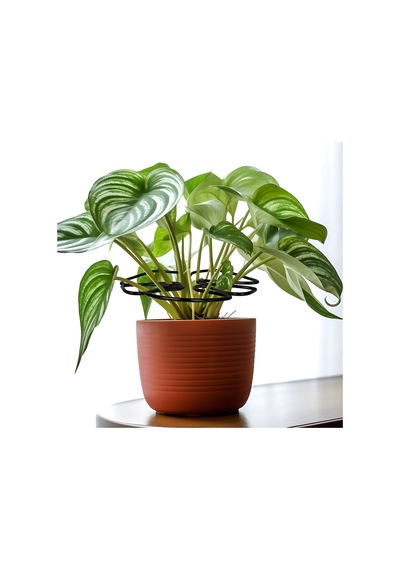 Bitki Stand Rafı Özel Tasarım Desenleri Yararlı Ve Estetik Bitki Bütçeleri Toplamatlık Vines İçin Uygun Black