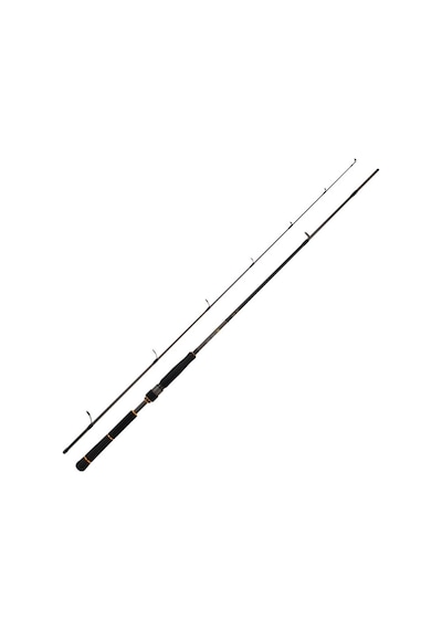 Daiwa New Bg Seabass 250 CM 10-35 Gr 2 Parça Spin Olta Kamışı