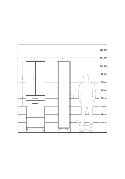 Arges Dolap 3 Raflı 2 Çekmeceli Tek Askılı 60x30x221 Antrasit-çam Antrasit