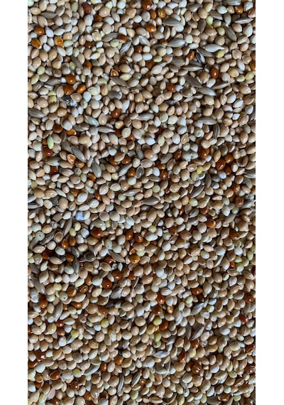 Muhabbet Kuş Yemi 20 Kg Karışık İçerik B 302 20 KG