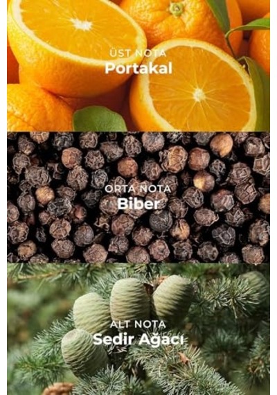 Gent Tierra Odunsu Uzun Süre Kalıcı 100 Ml Edp Erkek Parfüm Amber