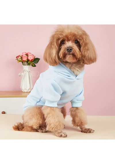 Kedi Ve Köpek İçin Sevgililer Günü Açık Mavi Kapüşonlu Sweatshirt