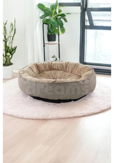 Az Tahıllı 3 Kg Yetişkin Kuzulu Small/mini Hypoallergenic Köpek Sı 100 G
