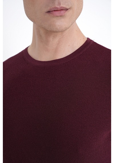 Efor Comfort Fit Rayon Karışımlı Bordo Bisiklet Yaka Tişört Ts 925
