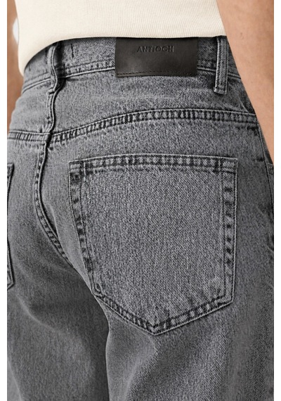Antioch Regular Fit Erkek Jean Gri