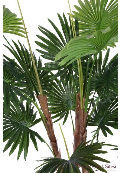 Yapay Çiçek Sitesi Bohem Küre Saksıda Yapay Palmiye Fanpalm Ağacı 155 Cm Yeşil