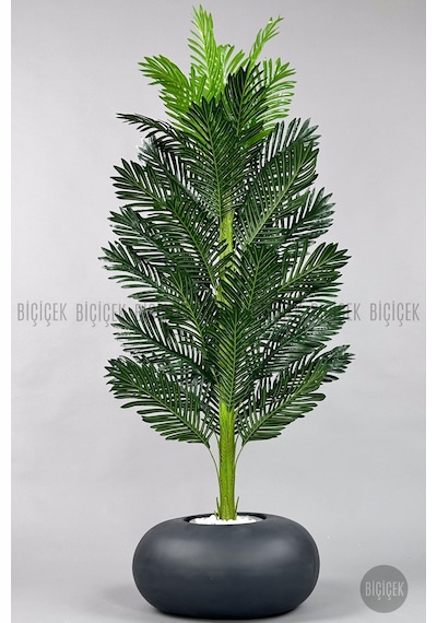 Yapay Areka Ağacı 160-180 Cm No Color