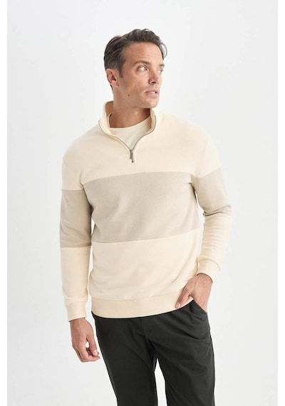 DeFacto Comfort Regular Fit Rahat Kalıp Dik Yaka Fermuarlı Çizgili Kalın Sweatshirt D2401AX24AUER42