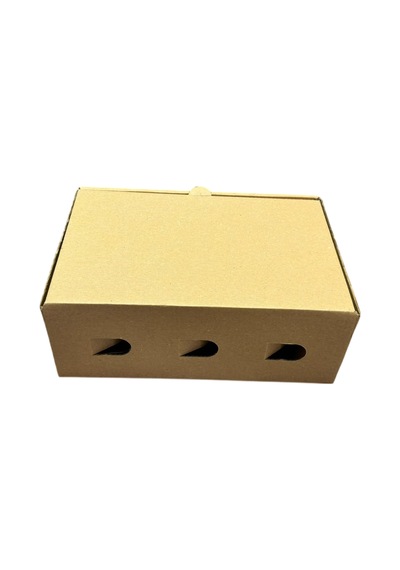 E-Ticaret Kutusu 22 x 14 x 8 CM 100 Adet