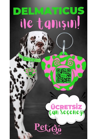 Petjoo 28.Delmaticus Pembe-Yeşil Qr'lı Köpek Künyesi