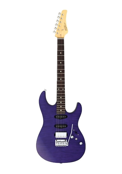 Fujigen Odyssey Elektro Gitar Jos2dufmr/tpf