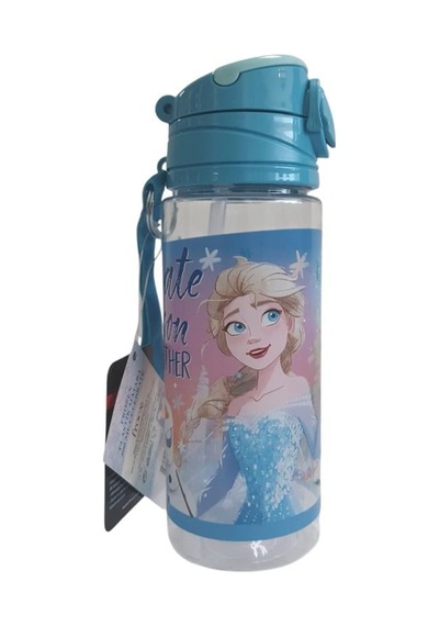 Frocx Frozen Lisanslı 500 Ml Matara 42502 Çok Renkli