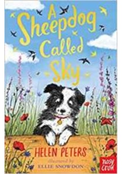 A Sheepdog Called Sky 9780857639110