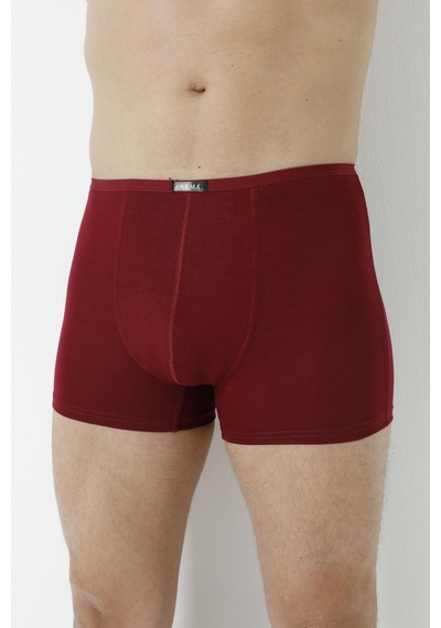 Arma Yıldız Erkek Bambu Boxer Bordo İnce Bel Lastikli 5'li Paket-bordo