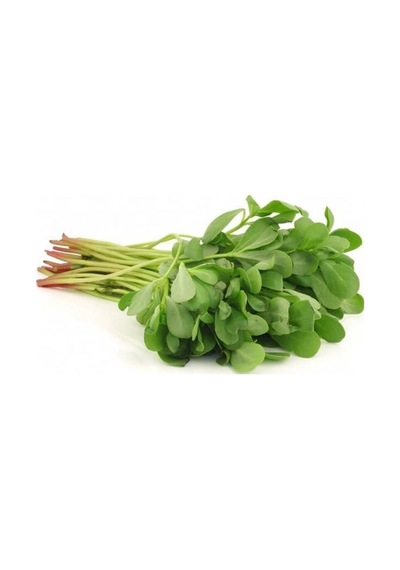 Semiz Otu Tohumu 10 Gr Paket 1 Paket