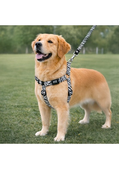 Swissplus Urban Paws Zebra Black Geri Dönüştürülmüş H-tipi Köpek Göğüs Tasması-s Beyaz - Siyah