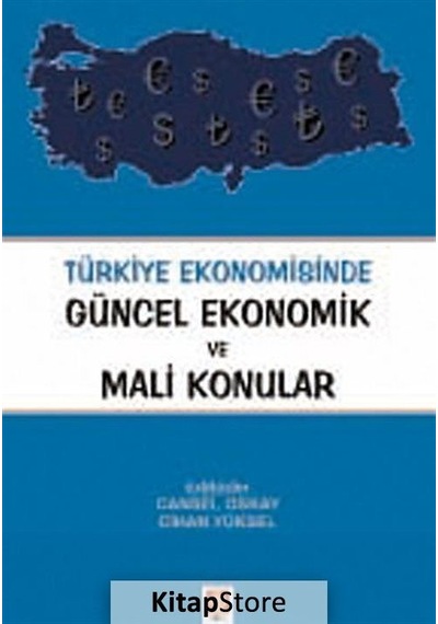 Türkiye Ekonomisinde Güncel Ekonomik ve Mali Konular / Cansel
