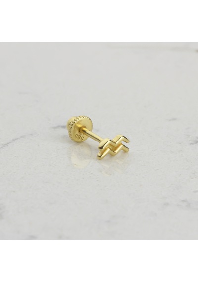 Glorria Altın Kova Burcu Helix Piercing Altın