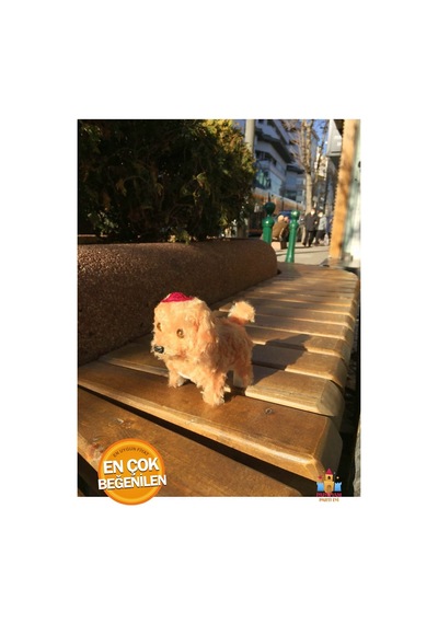 Pembe Peluş Köpek Yürüyen Pilli Oyuncak - Sevimli Arkadaşlarınız İçin Kahverengi