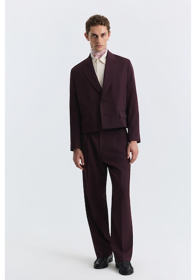 Antioch Crop Fit Blazer Ceket Bordo