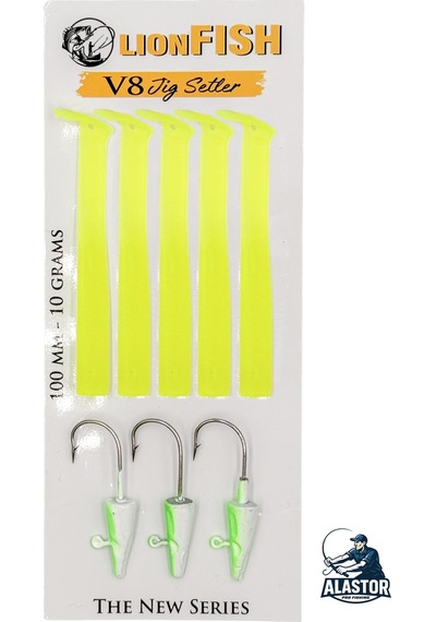 V8 Silikon Balık Seti 5 Adet Silikon Balık 3 Adet Jig Head Seti