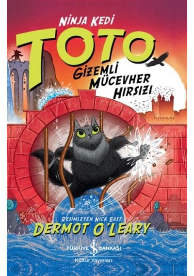 Ninja Kedi Toto Mücevher Hırsızı - Yqbx-627818