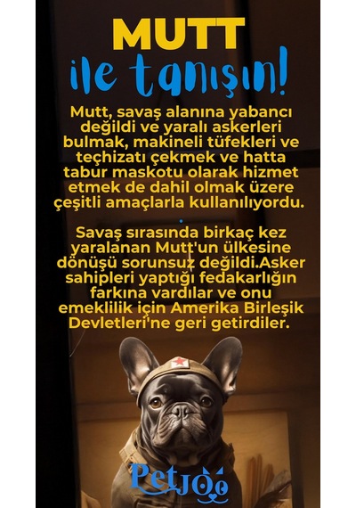 Petjoo 10.Mutt Mavi-Sarı Qr'lı Köpek Künyesi