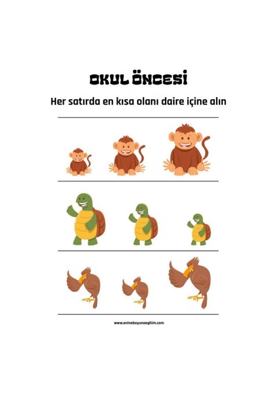 Okul Öncesi Ve Birinci Sınıflar Matematik Başlangıç Seti