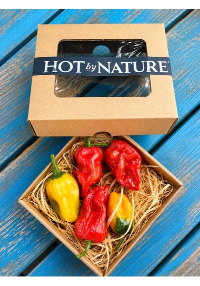 Naga Viper 900.000 1.4 M Scoville Gerçek Taze Acı Biber