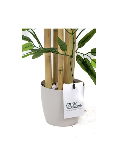 Yapay Çiçekçiniz Taş Detaylı Saksıda 60 Cm Yapay Bambu Ağacı