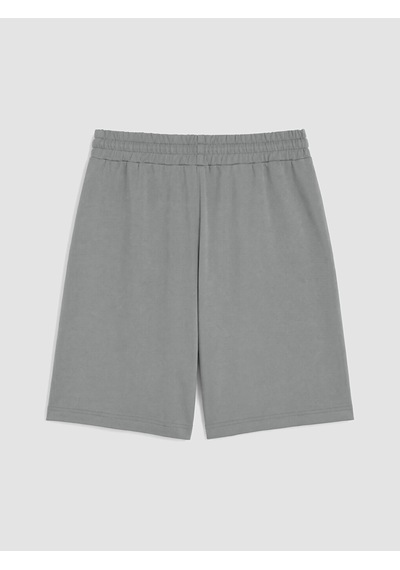 Lcwaıkıkı Classic Gri Regular Fit Erkek Şort