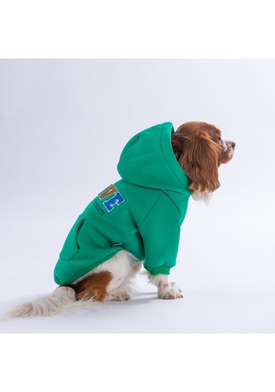 Yeşil Bronx Brave Köpek Hoodie Köpek Sweat Köpek Kıyafeti Kedi Kıyafeti