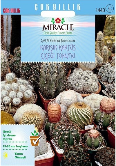 Miracle Karışık Kaktüs Bitkileri Çiçeği Tohumu 900 Tohum