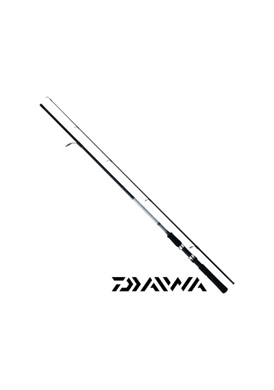 Aria-3000a Daiwa Sweepfire 210cm 10-30gr Spin Olta Takımı Seti