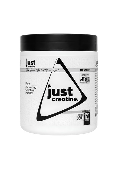Just Nutrition Fitness Paketi - Large 2 + 3 Hediye Protein Tozu + Bcaa + Kreatin Karışık
