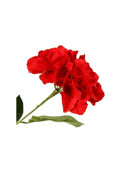 Vitale Ortanca Çiçeği Kırmızı 60 Cm Ak.Bg0134-K
