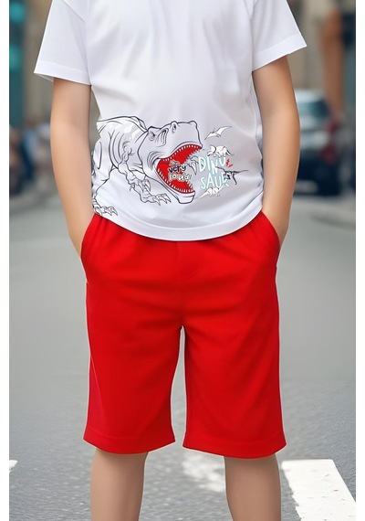 Fyk Kids Erkek Çocuk Dino-saur Baskılı Alt-üst Takım Kırmızı