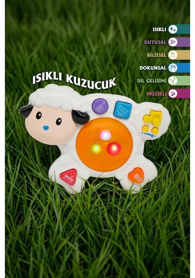 Işıklı Sesli Müzikli Kuzucuk Piyanolu Davul Enstrümanı Eğitici Oyuncak Çocuk Müzik Aleti