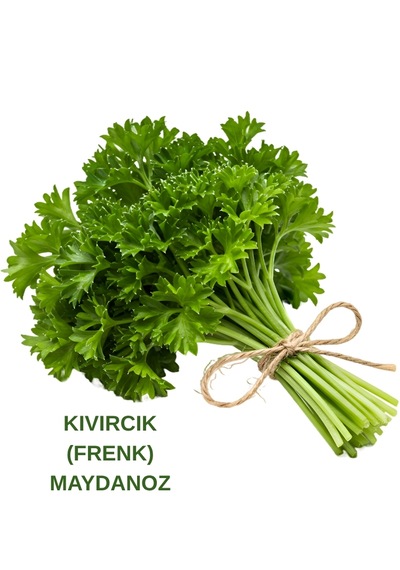 Kıvırcık Frenk Maydanoz Tohumu 10 Gr. 10 Gr.