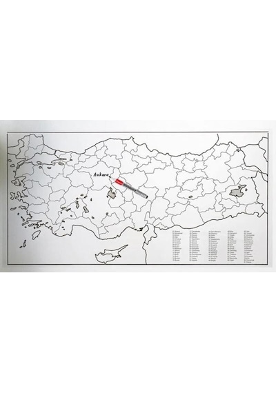 Türkiye Haritası Kağıt Tahta 110 56 Cm