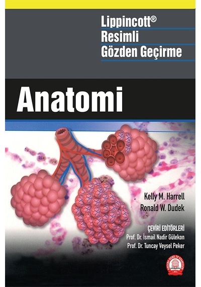 Lippincott Anatomi Resimli Gözden Geçirme