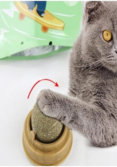 Safestore Kedi Nanesi Cat Mint Oyun Topu