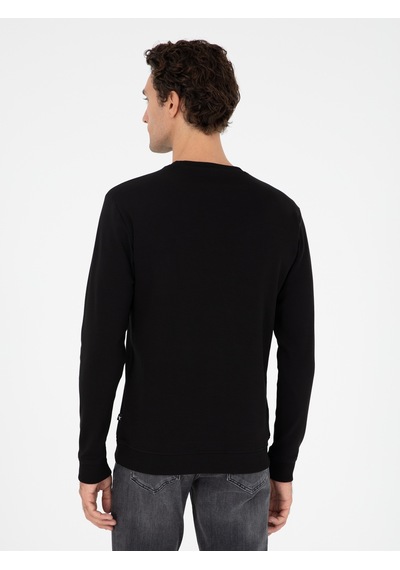 Siyah Regular Fit Bisiklet Yaka Pamuklu Sweatshirt